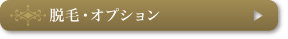 脱毛・オプション